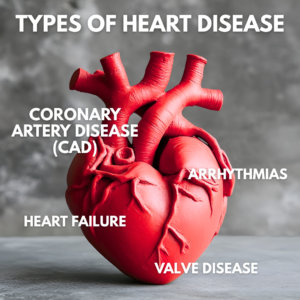 Types of Heart disease